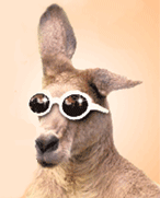 roo