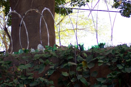 Fence