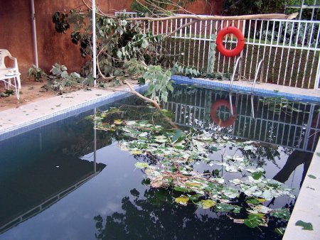 Pool1