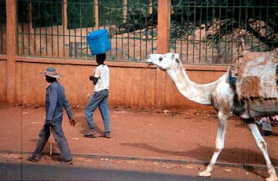 file:///home/sharon/AFRICA/Images/scene2.jpg